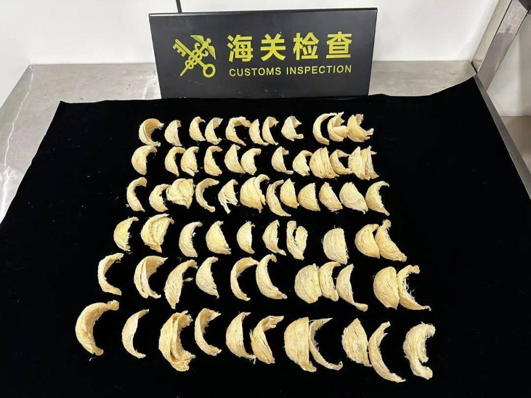 意大利丙组联赛 | 太恶心!女子被查意大利丙组联赛,在打底裤内搜到了用塑料袋包裹的大量食品……