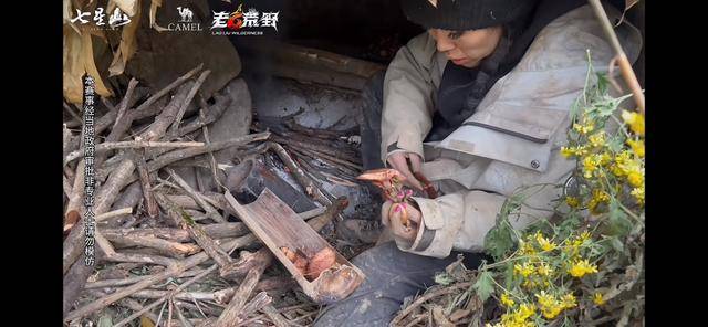 皇冠会员如何申请_“冷美人”退赛皇冠会员如何申请，错失20万奖金