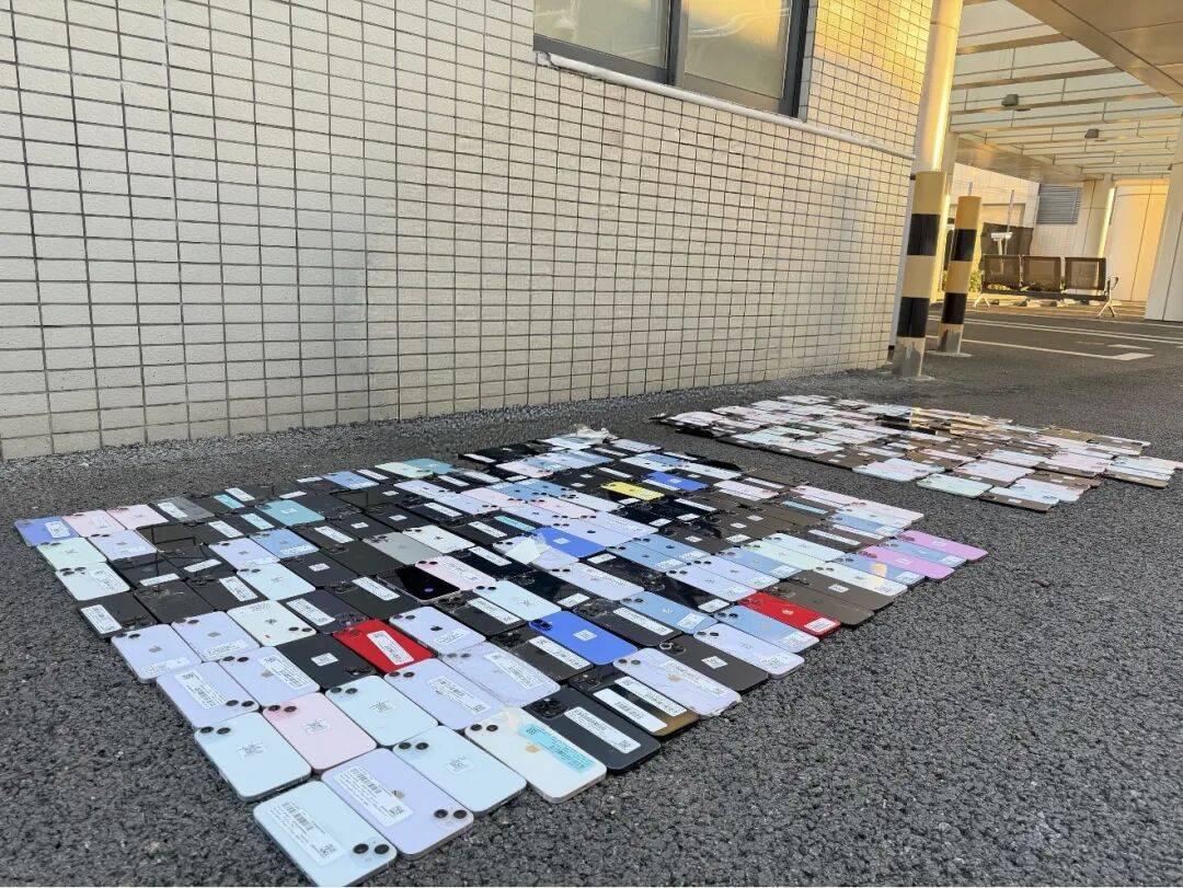 皇冠信用网平台_可惜你不是关关皇冠信用网平台，不知道一扫描看得多清楚