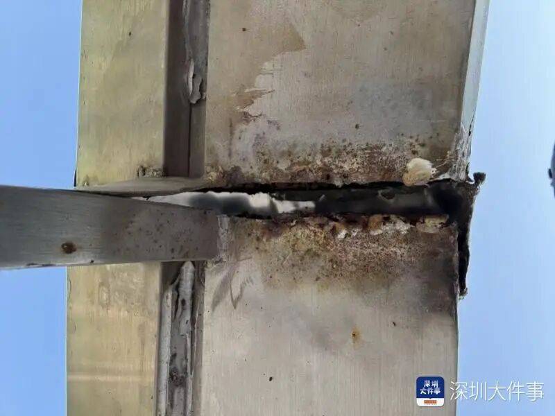 世界杯皇冠信用网开户_“影响我的形象”！一男子在深圳湾遭遇意外世界杯皇冠信用网开户，头皮被戳破！部门回应